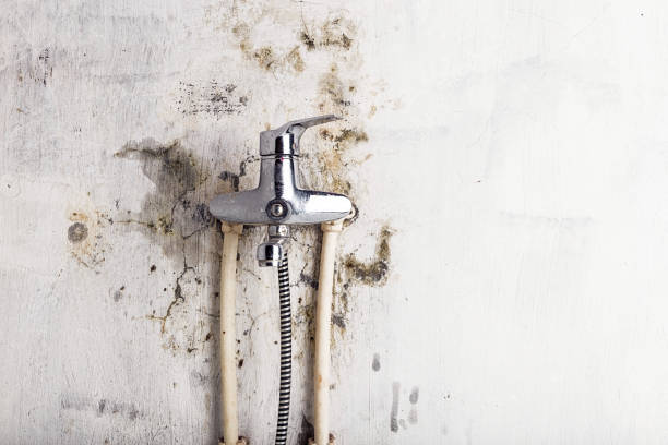 Trusted Platteville, WI Mold Remediation Experts