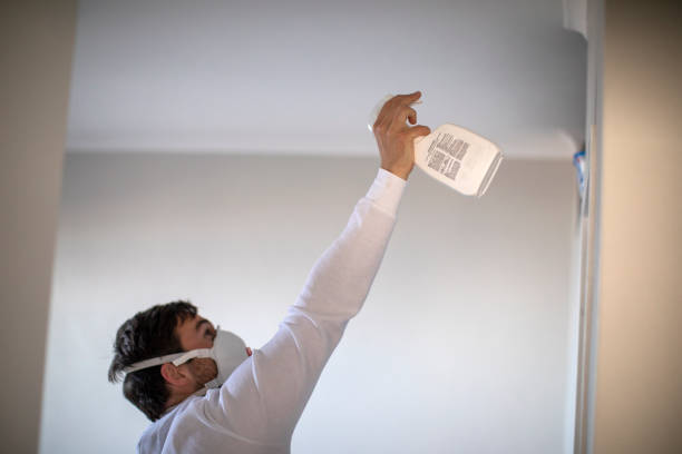 Best White Mold Remediation in Platteville, WI