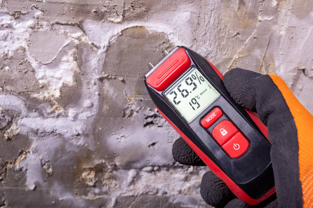 Best Post-Flood Mold Remediation in Platteville, WI