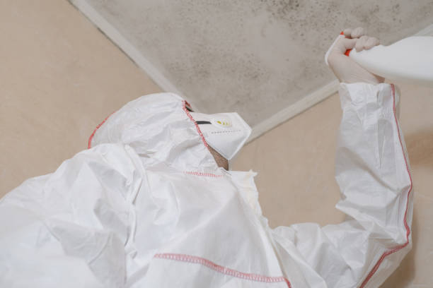 Best Industrial Mold Remediation in Platteville, WI