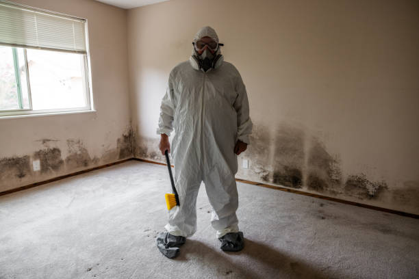 Best Mold Testing and Inspection Services in Platteville, WI
